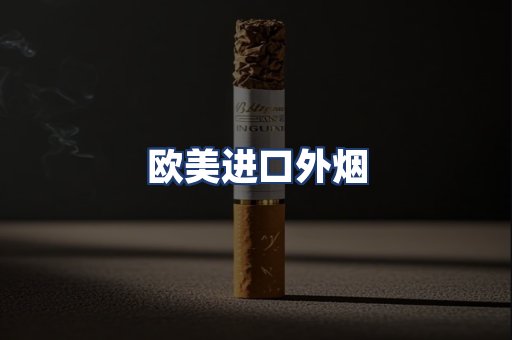 欧美进口外烟